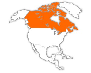 Mauricie  -  Québec - Canada